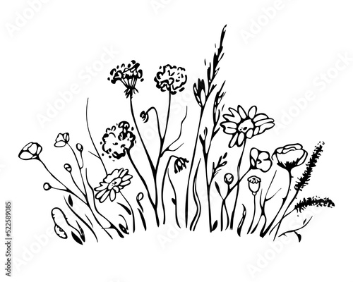 Set of wild meadow herbs and flowers. Black silhouettes of grass and herbs isolated on white background. Hand drawn sketch flowers