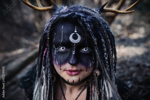Картината върху платно Forest witch in a pine forest