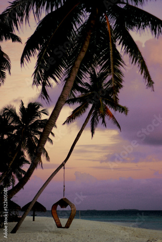 Maldives sunrise sunset sun palm ocean sea beautiful landscape tropical beach