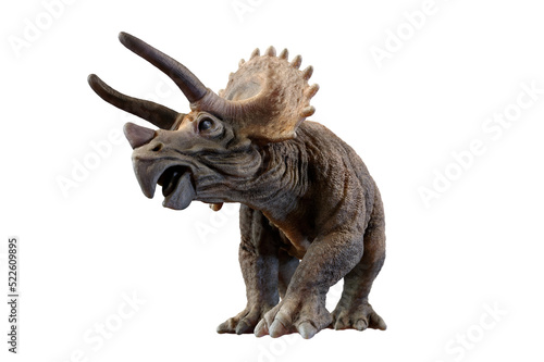 triceratops dinosaur on transparent background PNG 3d rendering © Roman