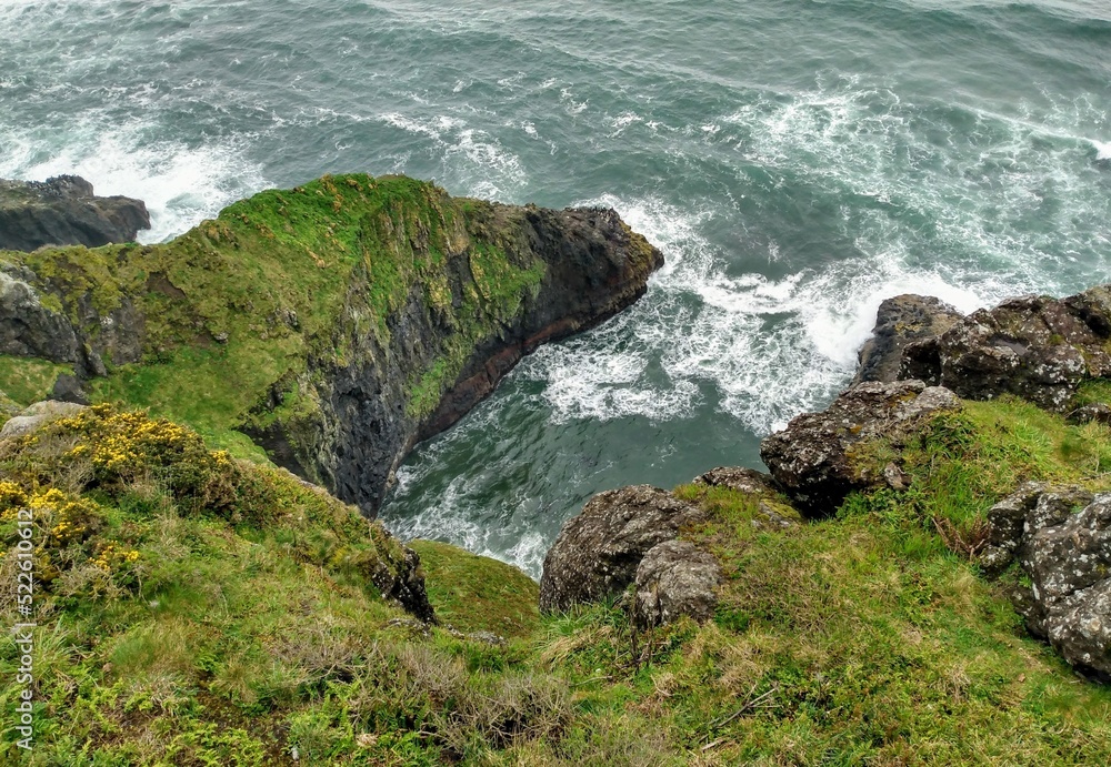 mossy cliffs of oregon