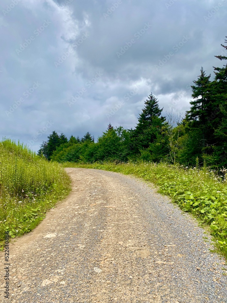 Fototapeta premium road in the countryside