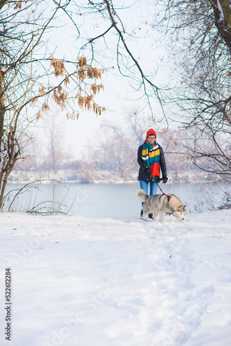 Young woman walking her husky dog in winter snow
