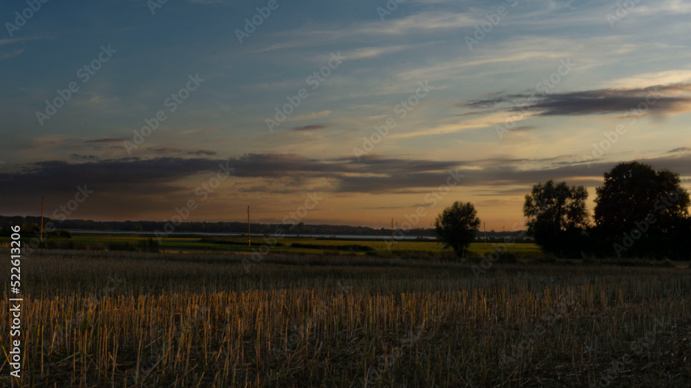 Loissin Field at a Forest and the Baltic Sea Sunset