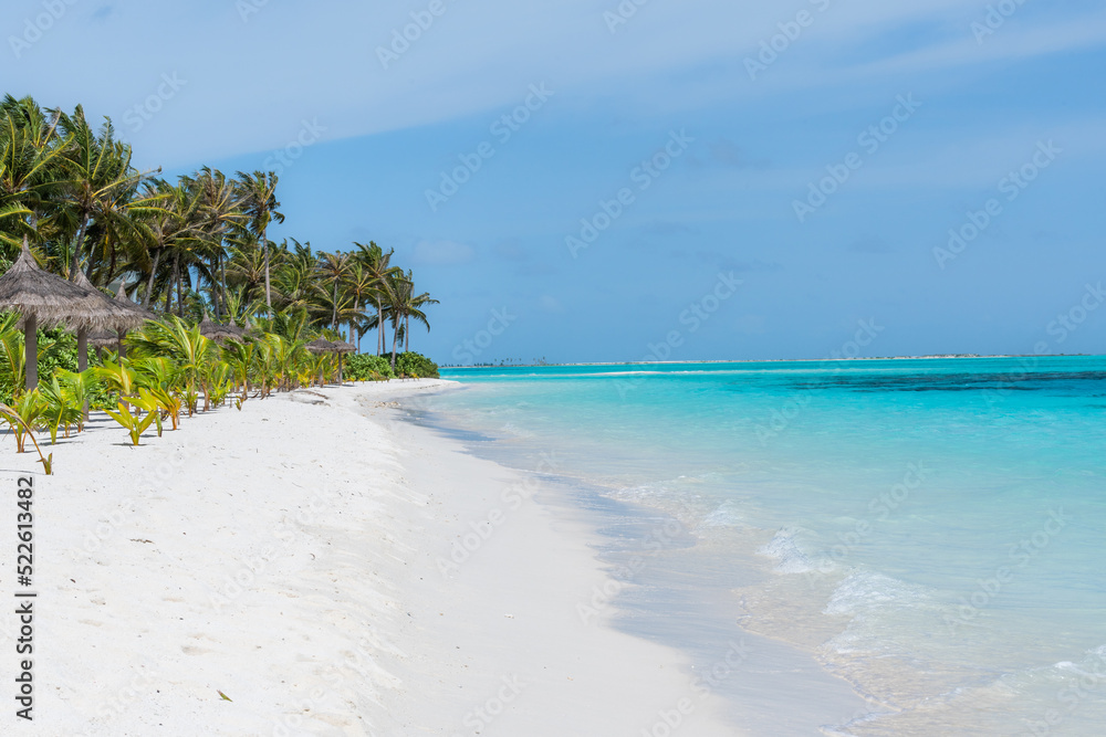 tropical beach with palm trees, white sand and turquoise blue water
