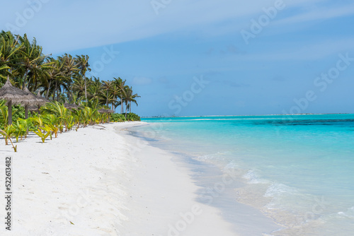 Fototapeta Naklejka Na Ścianę i Meble -  tropical beach with palm trees, white sand and turquoise blue water
