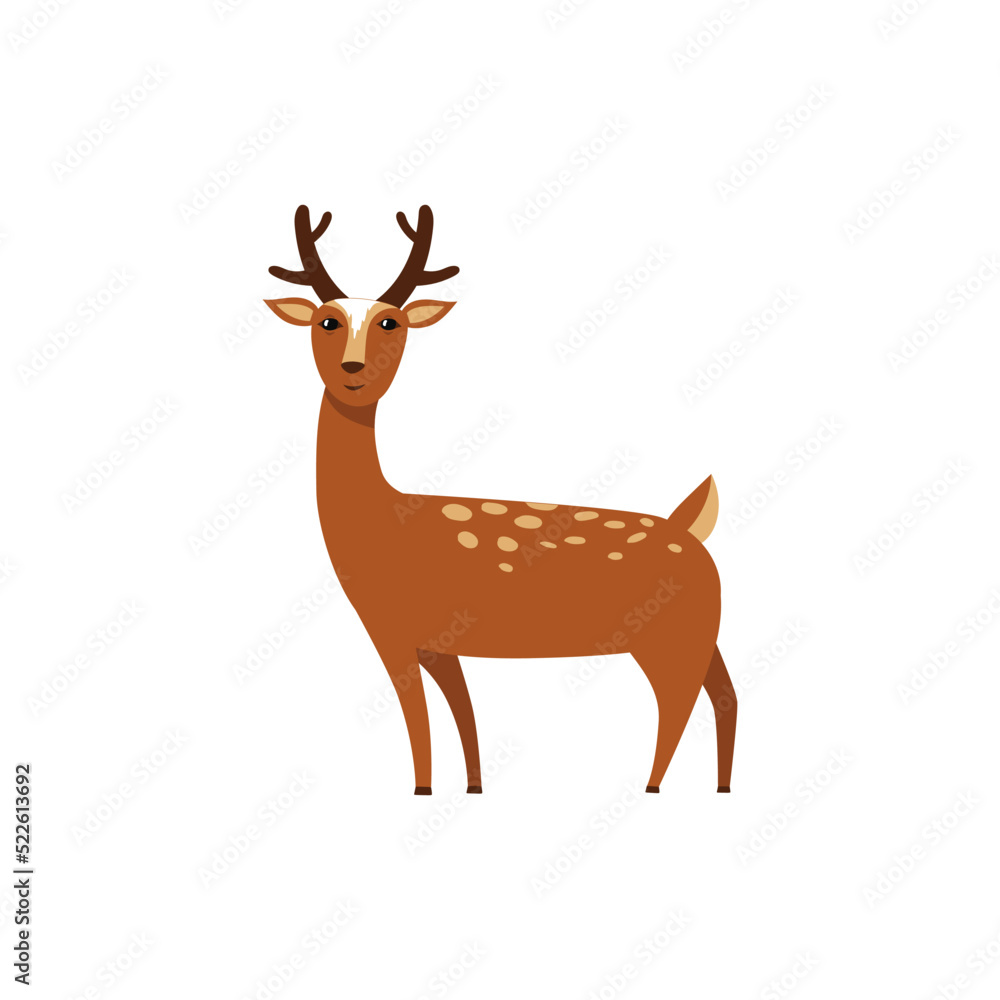 Fototapeta premium Baby deer. Fawn. Cute baby animal. Vector Hand Drawn kids cartoon character. Nursery art background. Isolated. Childish illustration.