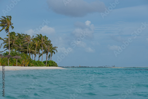 tropical beach with palm trees, white sand and turquoise blue water 