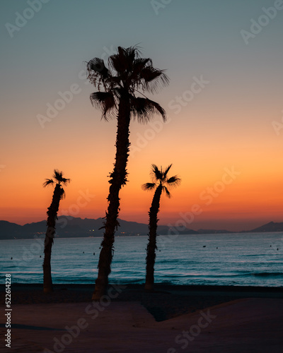 sunset on the beach