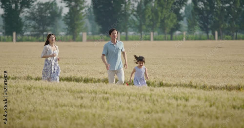 Happy young family having fun in wheat field,4K Happy young family having fun in wheat field,4K