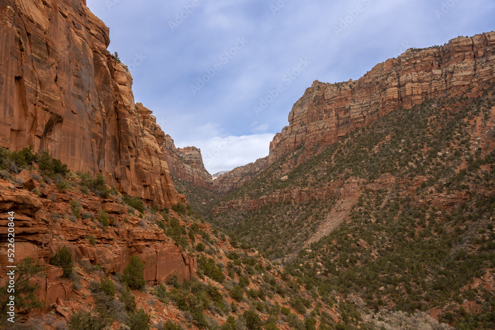 Canyon of the Left Fork of North Creek In Zion