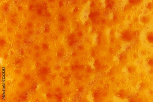 Magnified view of mandarin skin