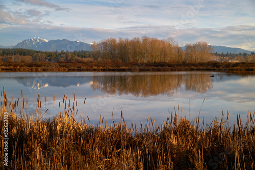 Iona Beach Regional Park Pond. The pond and marsh in Iona Beach Regional Park. British Columbia, Canada.