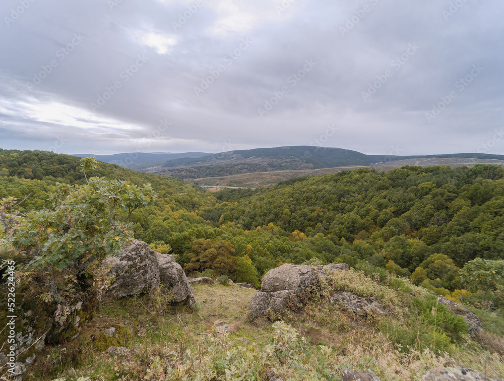 Field of green and yellow trees in Somosierra Madrid