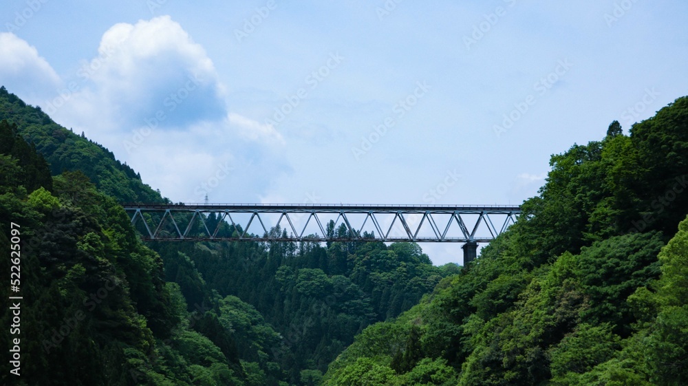 Fototapeta premium Railroad bridge over the mountain river in summer