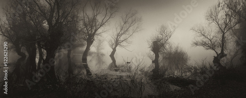 Creepy landscape showing misty dark swamp in autumn in sepia tones