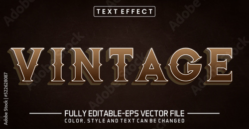 Vintage editable text style effect