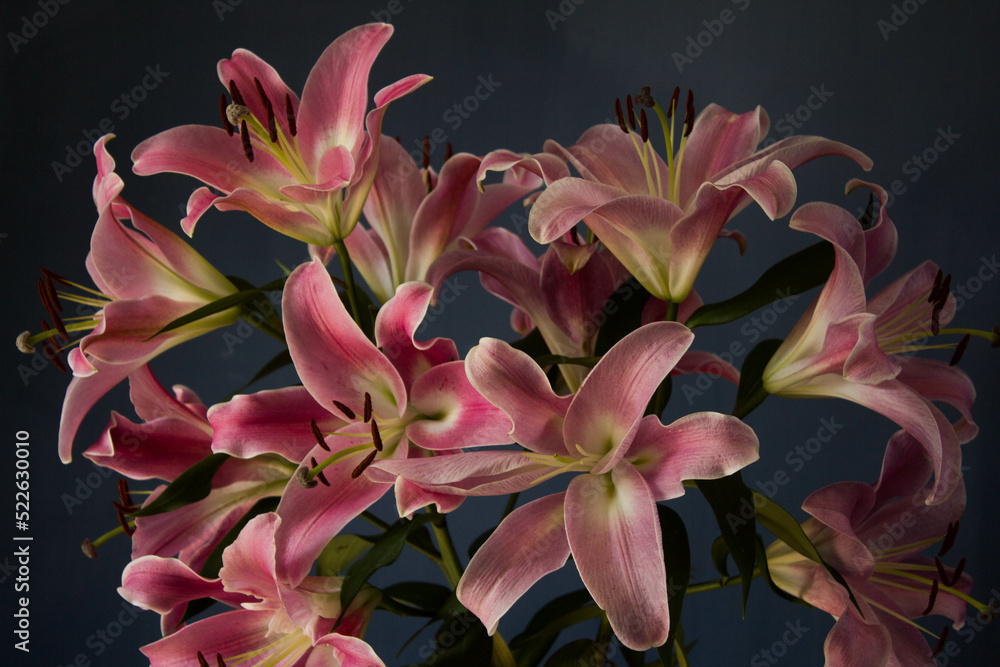 Beautiful bouquet of flowers. Lilies on a dark background. Background. Texture. Beautiful bouquet of flowers. Lilies on a dark background. Background. Texture.