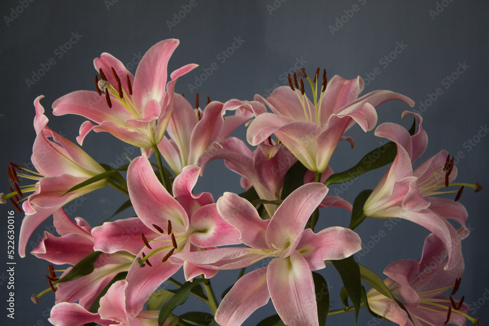 Fototapeta premium Beautiful bouquet of flowers. Lilies on a dark background. Background. Texture.