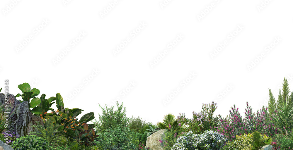 Fototapeta premium Plants and flowers on a transparent background
