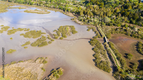Aerial View from the Beach, Green Trees, City Streets and Waves - Tahuna Torea, Bucklands Beach View in New Zealand - Auckland Area photo