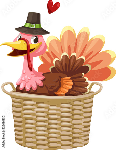 Turkey in Basket for Thanksgiving Decorative Element