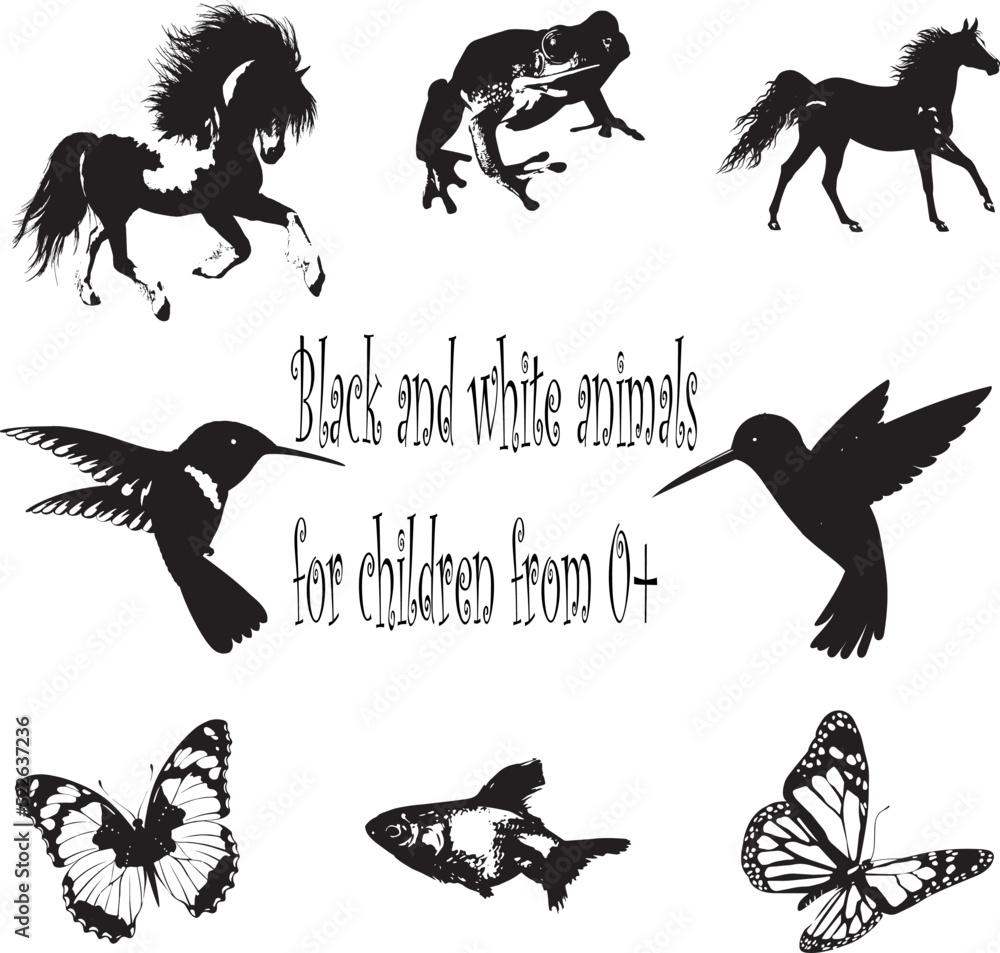 Obraz premium Black and white animals for children from 0+