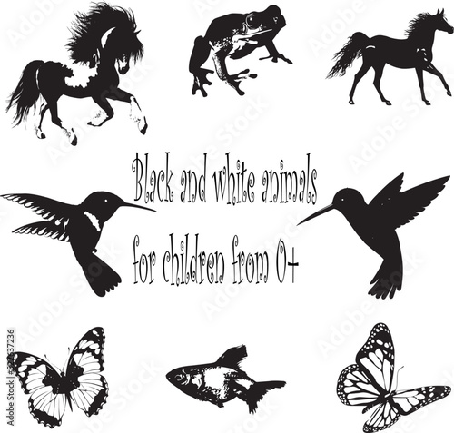 Black and white animals for children from 0+