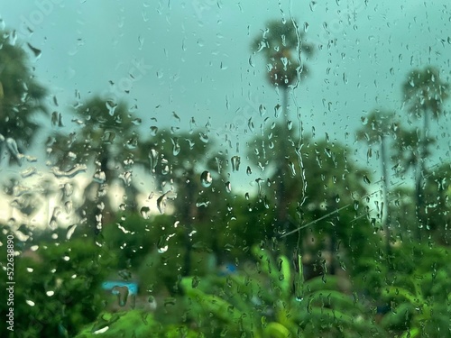 Rain and Nature