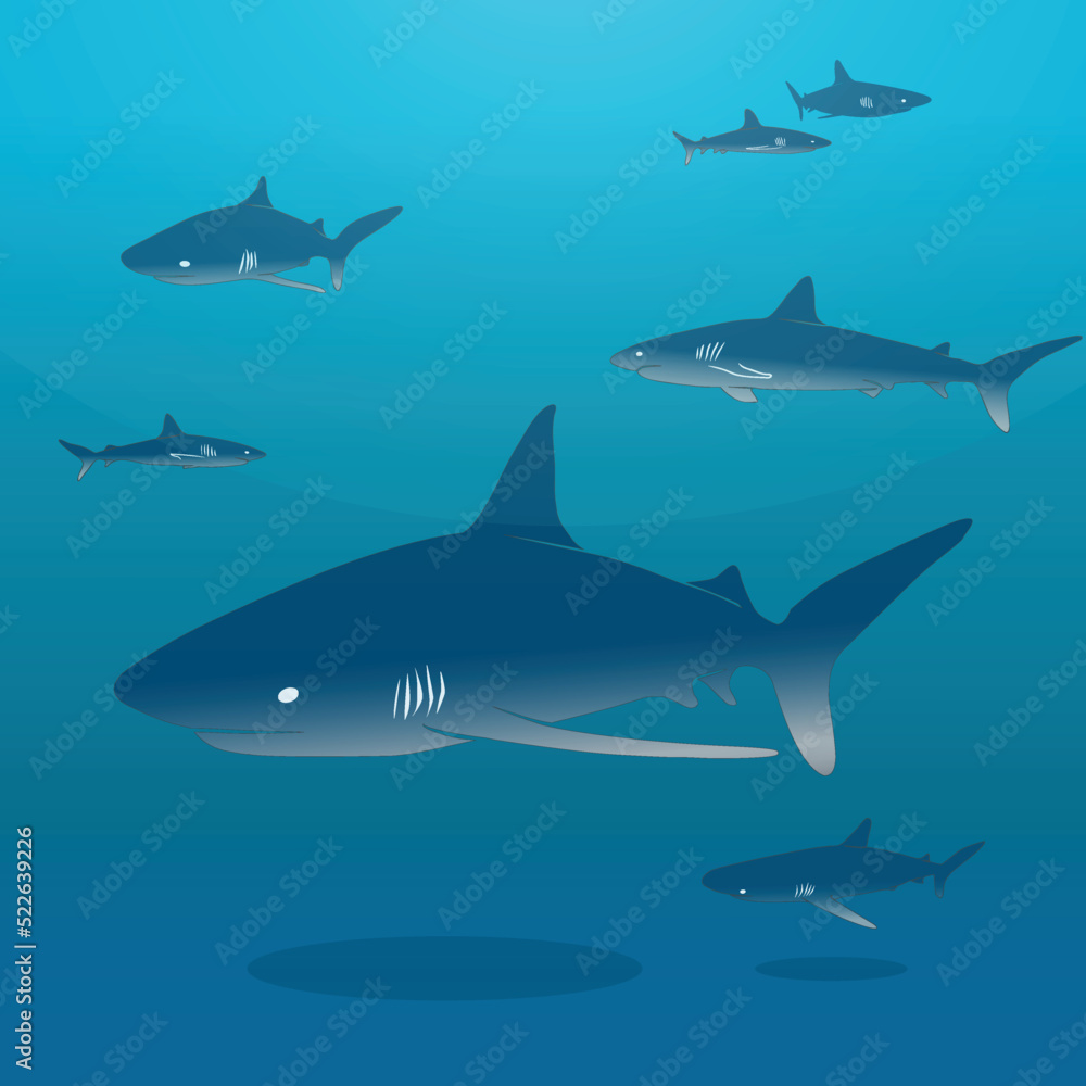 shark wallpaper vector shihouette
shark wallpaper vector shihouette