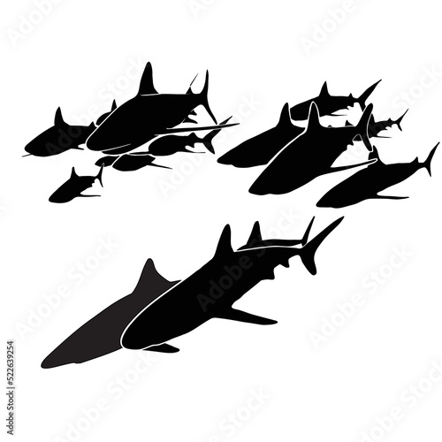 shark movements vector shihouette collection
