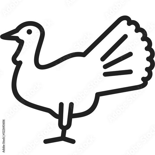  illustration of a thanksgiving turkey outline on a white background.