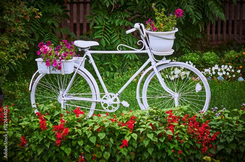 A decorative white bicycle with flower pots surrounded by flower beds. White bicycle in a green garden. Selective focus
