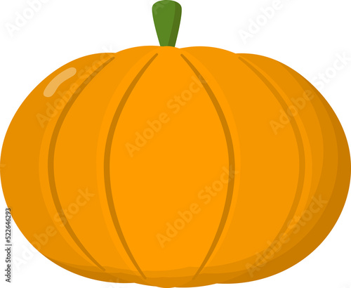 Pumpkin illustration