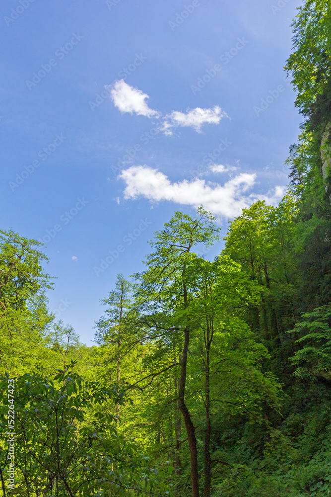 canyon in the mountains, panorama of the area, summer season, awakening in nature and the birth of a new day. canyon in the mountains, panorama of the area, summer season, awakening in nature and the birth of a new day.