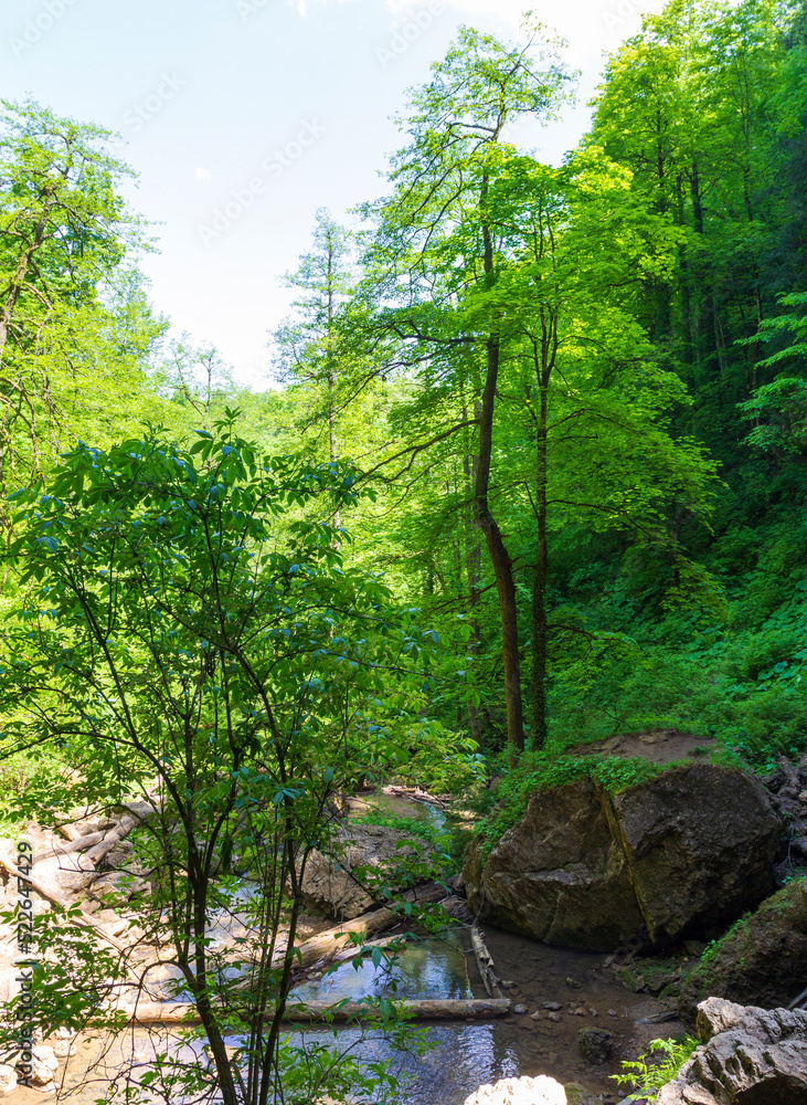canyon in the mountains, panorama of the area, summer season, awakening in nature and the birth of a new day. canyon in the mountains, panorama of the area, summer season, awakening in nature and the birth of a new day.