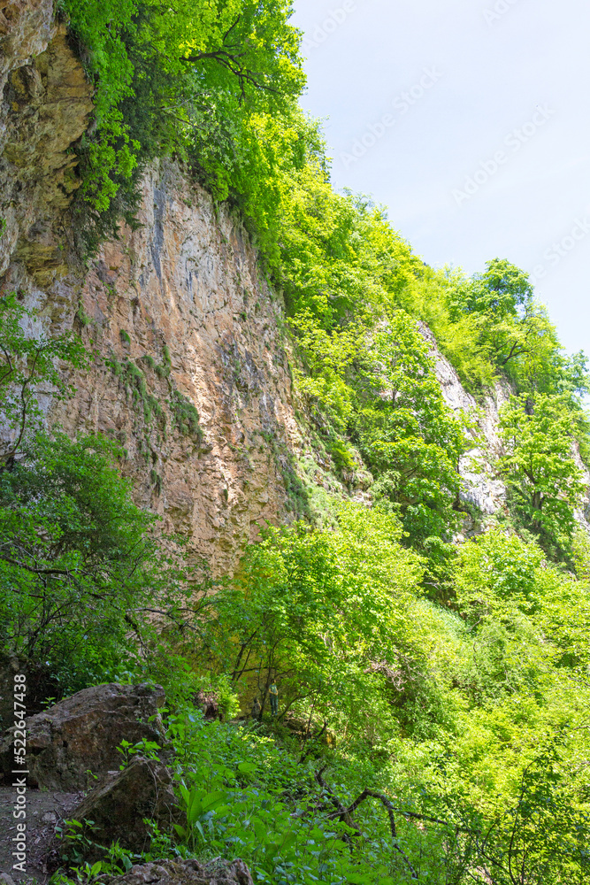 Fototapeta premium canyon in the mountains, panorama of the area, summer season, awakening in nature and the birth of a new day.