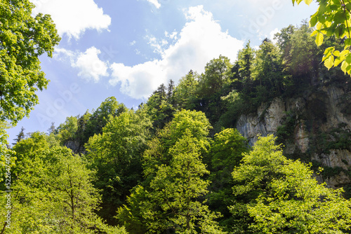 canyon in the mountains  panorama of the area  summer season  awakening in nature and the birth of a new day.