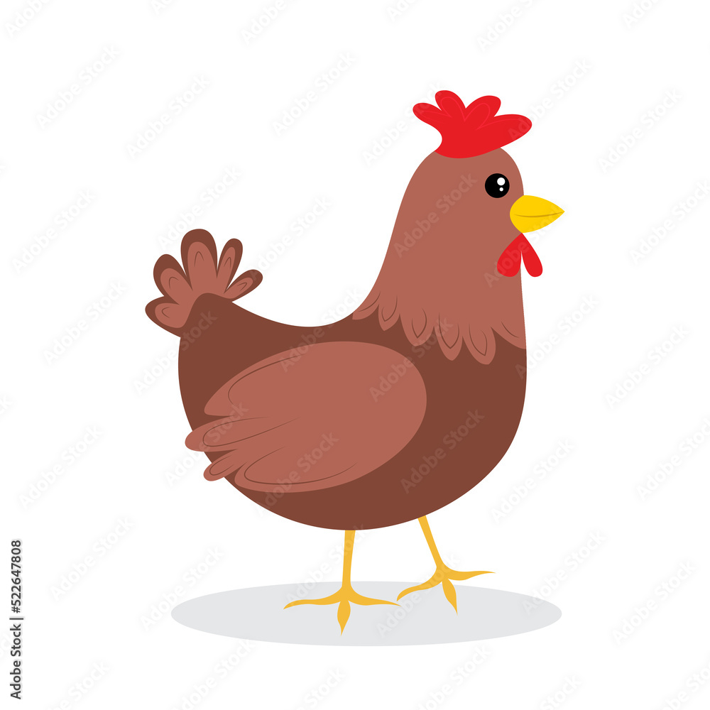 chicken vector illustration cartoon chicken vector illustration cartoon