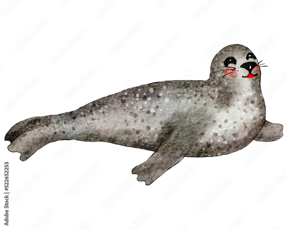 Obraz premium Watercolor sea lion. Underwater animal illustration with transparent background