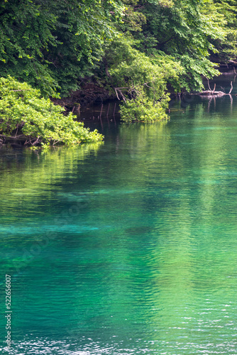 Bright trees reflecting in the clear river