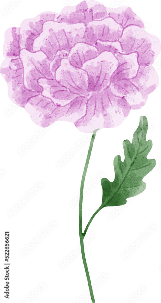 Fototapeta premium Watercolor Flower Illustration