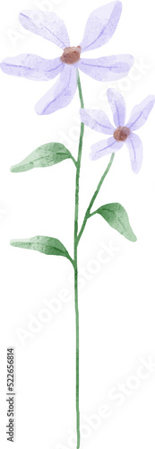 Fototapeta Naklejka Na Ścianę i Meble -  Watercolor Flower Illustration