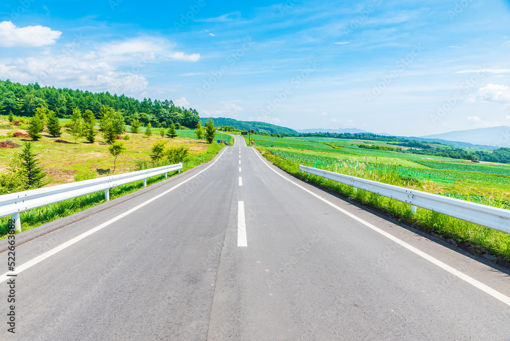 Fototapeta premium 遠くまで伸びる一本道 嬬恋パノラマライン