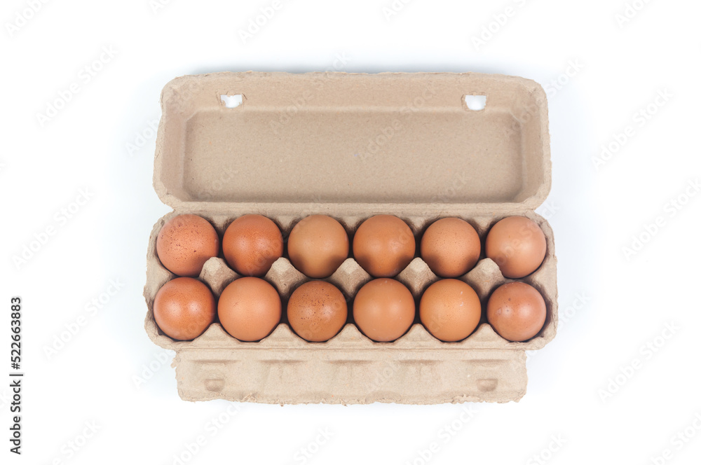 Eggs pack cardboard on white background