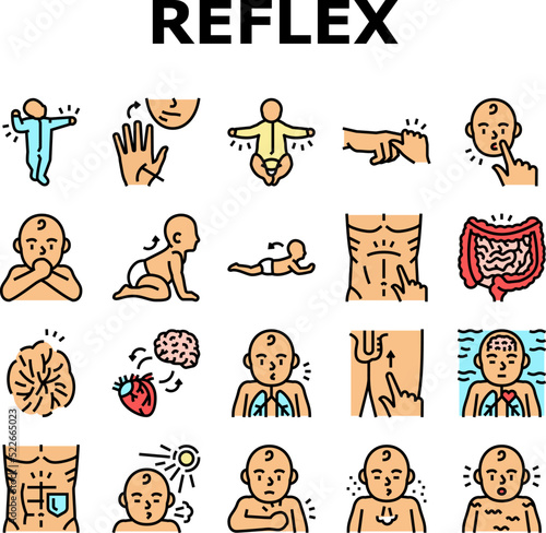 Reflex Of Human Neurology System Icons Set Vector. Cremasteric And Gastrocolic, Asymmetrical Tonic Neck And Palmar Grasp Reflex. Muscular Defense And Photic Sneeze Color Illustrations