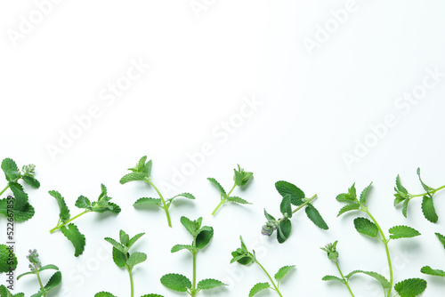 Aromatherapy concept with mint, space for text