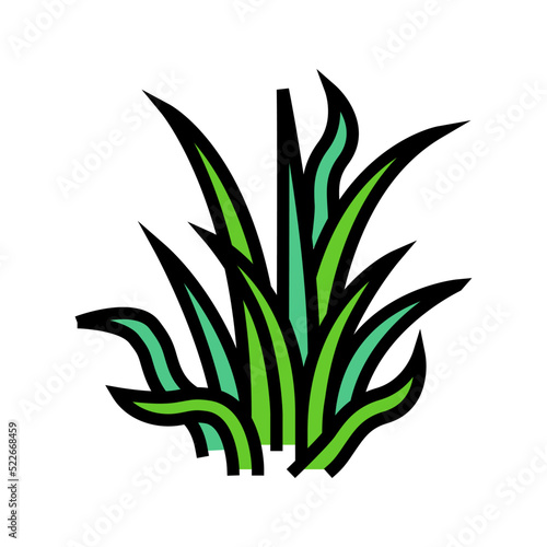 pygmy chain sword color icon vector. pygmy chain sword sign. isolated symbol illustration