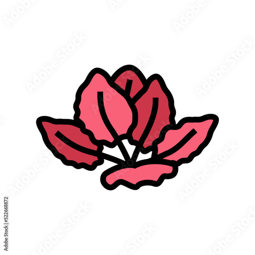 tiger lotus color icon vector. tiger lotus sign. isolated symbol illustration