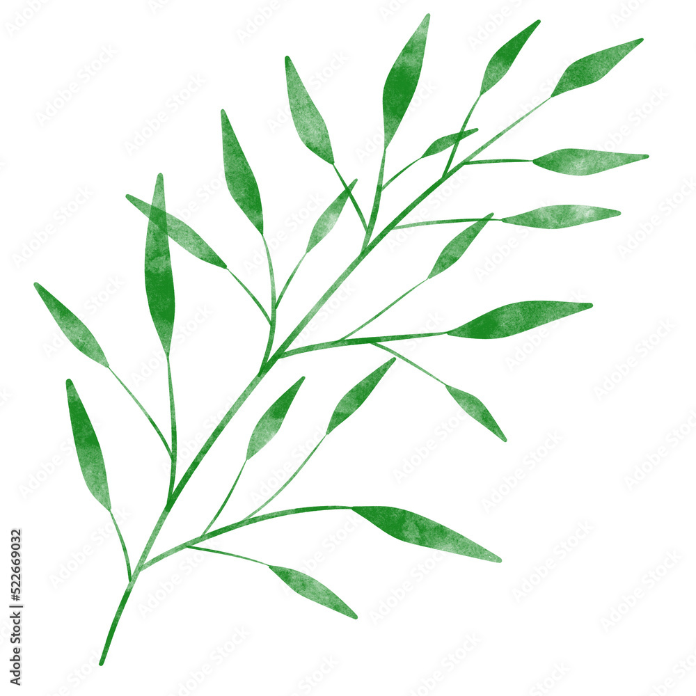 Fototapeta premium leaf in watercolor